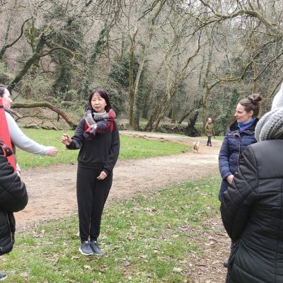1. baño de bosque urbán en grupo