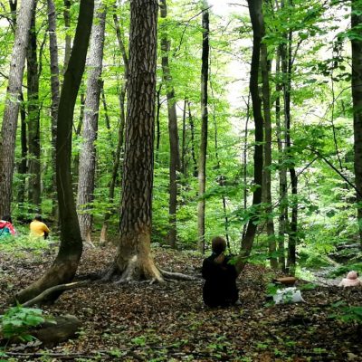 3. baño de bosque a medida, grupo privados