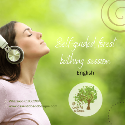 audioguia english