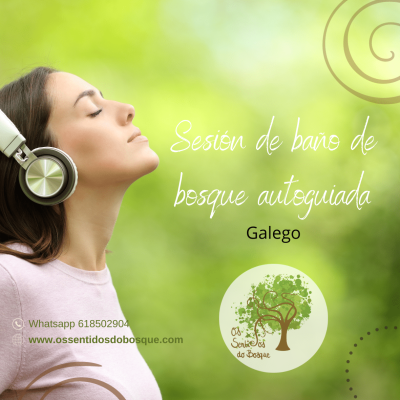 autoguia gal