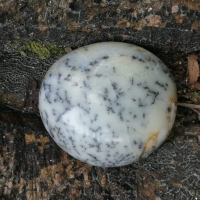 merlinitas madagascar prov